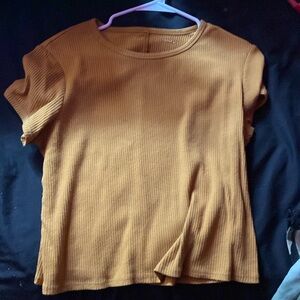 Simple light brown crop top